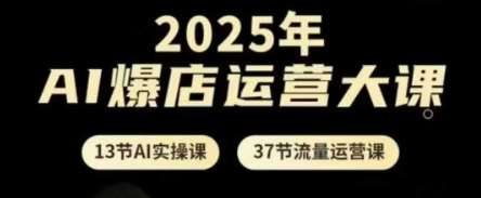 2025年AI爆店运营大课，13节AI实操课+37节流量运营课-靠谱项目库