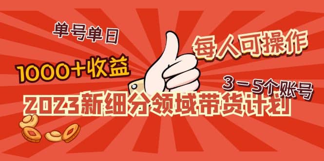 2023新细分领域带货计划：单号单日1000+收益不难，每人可操作3-5个账号-靠谱项目库