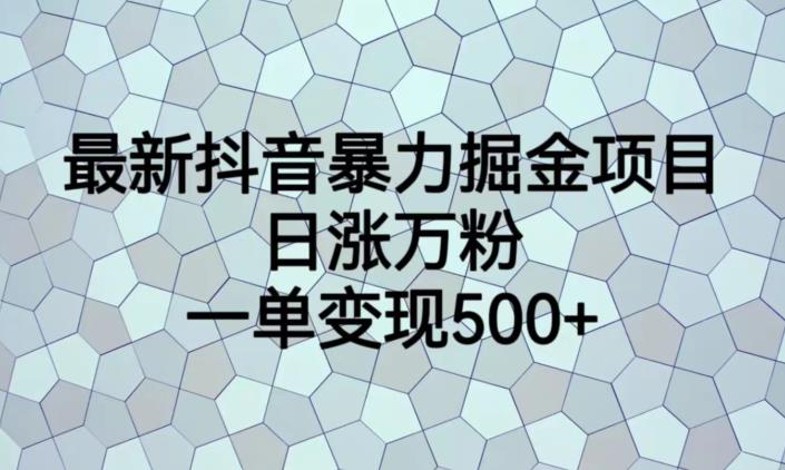 最新抖音暴力掘金项目，日涨万粉，一单变现500+【揭秘】-靠谱项目库