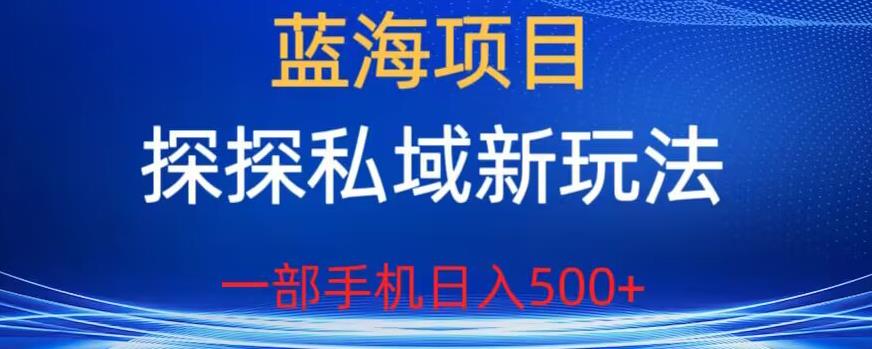 蓝海项目，探探私域新玩法，一部手机日入500+很轻松【揭秘】-靠谱项目库