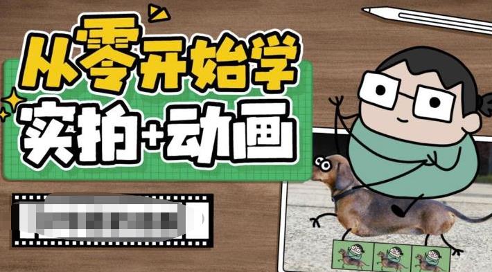 从零开始学实拍加动画，实拍加动画创意教程-靠谱项目库