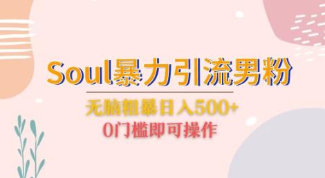 Soul暴力引流男粉玩法，无脑粗暴日入500＋，0门槛即可操作【揭秘】-靠谱项目库