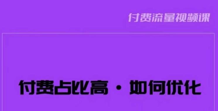 波波-付费占比高，如何优化？只讲方法，不说废话，高效解决问题！-靠谱项目库