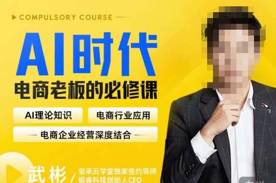 玺承·AI时代，电商老板的必修课，理论+实操+工具，驱动电商销售转化-靠谱项目库