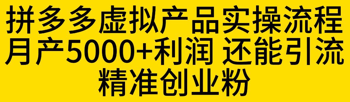 拼多多虚拟产品实操流程，月产5000+利润，还能引流精准创业粉【揭秘】-靠谱项目库