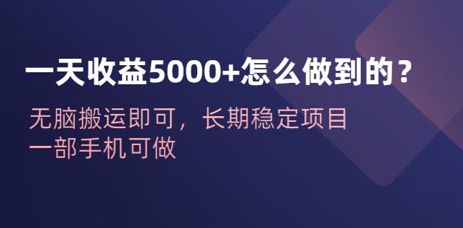 一天收益5000+怎么做到的？无脑搬运即可，长期稳定项目，一部手机可做【揭秘】-靠谱项目库