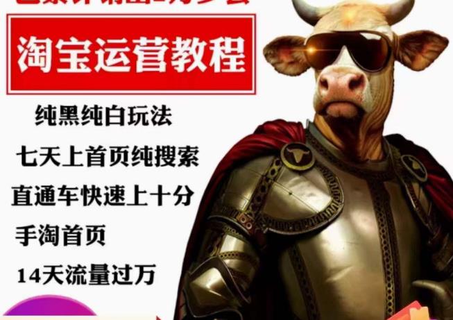 猫老师·淘系算法逆向解密，​纯黑纯白玩法，七天上首页纯搜索，手淘首页14天流量过万-靠谱项目库