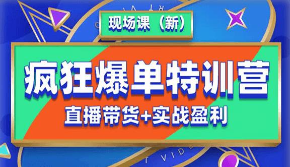 抖音短视频疯狂爆单特训营现场课（新）直播带货+实战案例-靠谱项目库