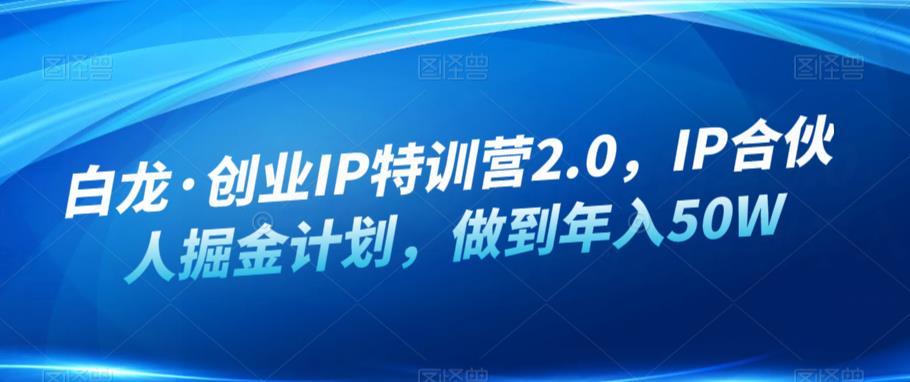 白龙·创业IP特训营2.0，IP合伙人掘金计划，做到年入50W-靠谱项目库