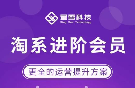 星雪·淘系进阶课程，快速提升突破技能流量瓶颈必备（更新2023年5月）-靠谱项目库