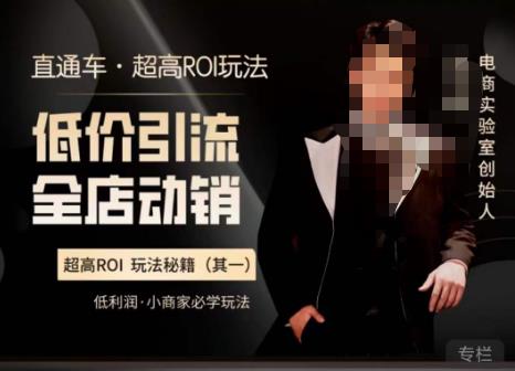 电商冰可乐·直通车·《低价引流·全店动销》，直通车·超高ROI玩法（其一）全店动销必学玩法-靠谱项目库