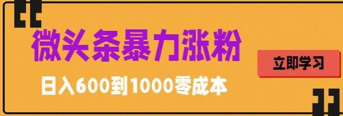 微头条暴力涨粉技巧搬运文案就能涨几万粉丝，简单0成本，日赚600【揭秘】-靠谱项目库