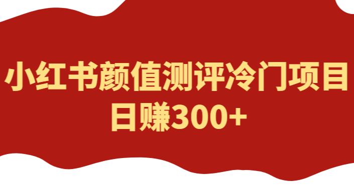 外面1980的项目，小红书颜值测评冷门项目，日赚300+【揭秘】-靠谱项目库