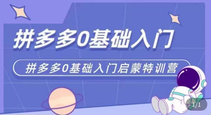 拼多多运营0-1实操特训营，拼多多0基础入门，从基础到进阶的可实操玩法-靠谱项目库