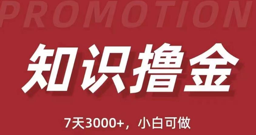 抖音知识撸金项目：简单粗暴日入1000+执行力强当天见收益(教程+资料)-靠谱项目库