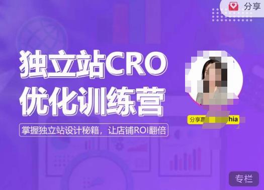 独立站CRO优化训练营，掌握独立站设计秘籍，打造高转化的独立站，让店铺ROI翻倍-靠谱项目库