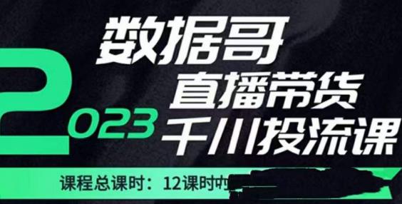 数据哥2023直播电商巨量千川付费投流实操课，快速掌握直播带货运营投放策略-靠谱项目库