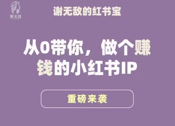 谢无敌·小红书运营大宝典，从0带你做个赚钱的小红书IP-靠谱项目库