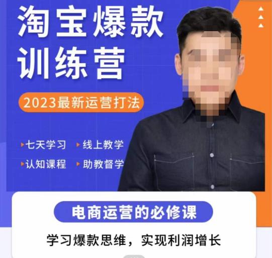 爱上黄昏·淘宝爆款训练营，2023最新运营打法，学习爆款思维，实现利润增长-靠谱项目库