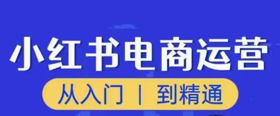 顽石小红书电商高阶运营课程，从入门到精通，玩法流程持续更新-靠谱项目库