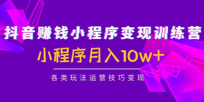 抖音赚钱小程序变现训练营：小程序月入10w+各类玩法运营技巧变现-靠谱项目库