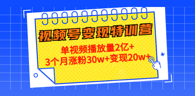 21天视频号变现特训营：单视频播放量2亿+3个月涨粉30w+变现20w+-靠谱项目库