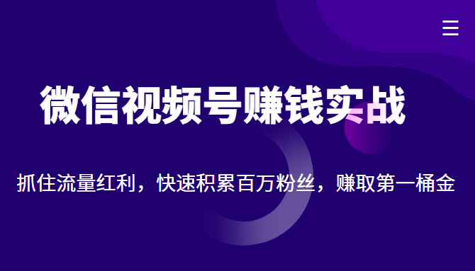 微信视频号赚钱实战：抓住流量红利，快速积累百万粉丝，赚取你的第一桶金-靠谱项目库