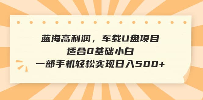 蓝海高利润，车载U盘项目，适合0基础小白，一部手机轻松实现日入500+-靠谱项目库