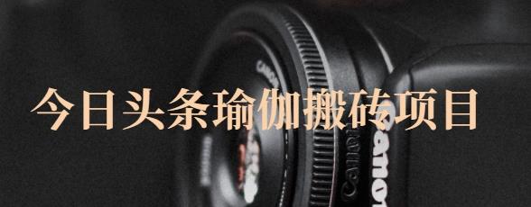 猎人社区·今日头条瑜伽搬砖项目，单号一天几十收入，可以批量操作！-靠谱项目库