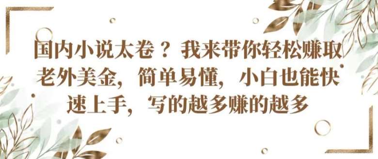 国内小说太卷 ?带你轻松赚取老外美金，简单易懂，小白也能快速上手，写的越多赚的越多【揭秘】-靠谱项目库