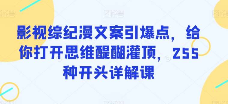 影视综纪漫文案引爆点，给你打开思维醍醐灌顶，255种开头详解课-靠谱项目库