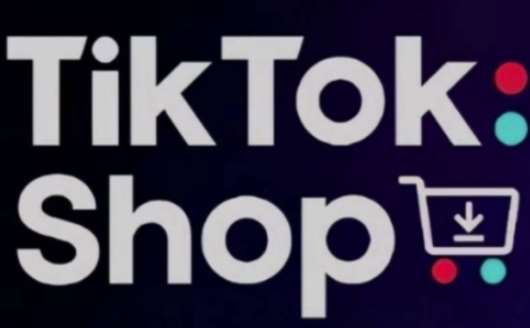 TikTokShop跨境电商0-1实战，手把手教你低成本启动海外市场-靠谱项目库