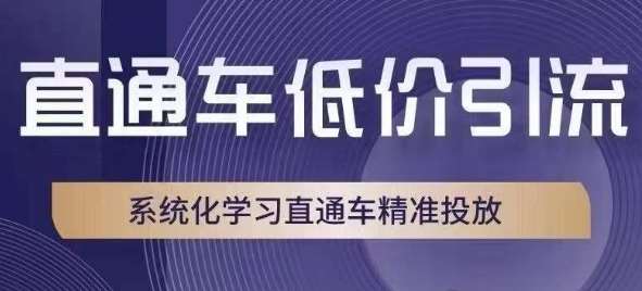 直通车低价引流课，系统化学习直通车精准投放-靠谱项目库