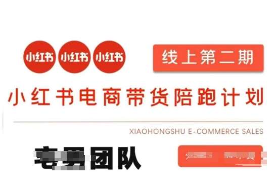 小红书电商带货课2期，月利润20个的小红书电商的有货源，无货源，虚拟产品，付费投流等整套玩法-靠谱项目库