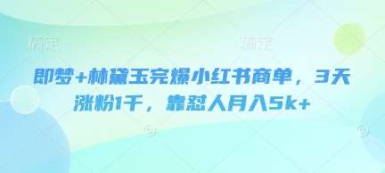 即梦+林黛玉完爆小红书商单，3天涨粉1千，靠怼人月入5k+-靠谱项目库