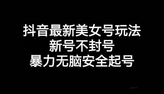 抖音最新美女号玩法，新号不封号，暴力无脑安全起号【揭秘】-靠谱项目库