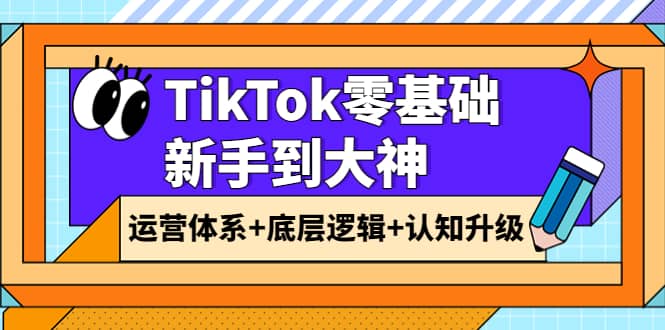 TikTok零基础新手到大神：运营体系+底层逻辑+认知升级（9节系列课）-靠谱项目库