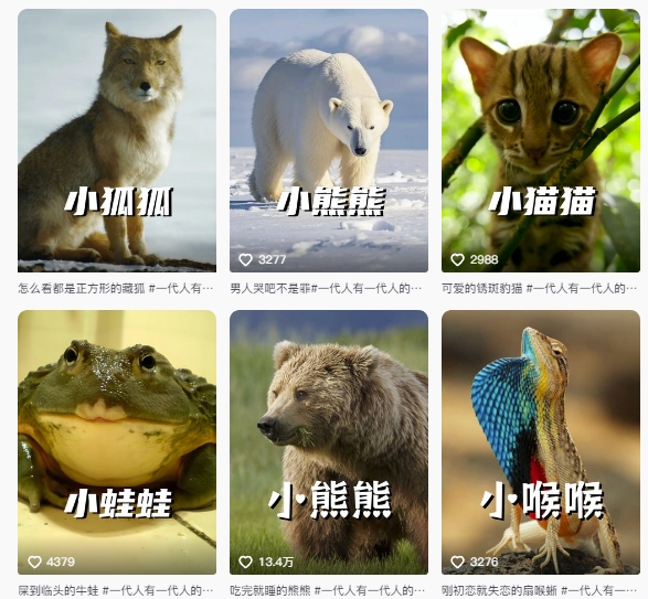 图片[2]-最新搞笑动物百科详细解说课程，蓝海赛道，流量非常大，轻松签独家进精选-靠谱项目库