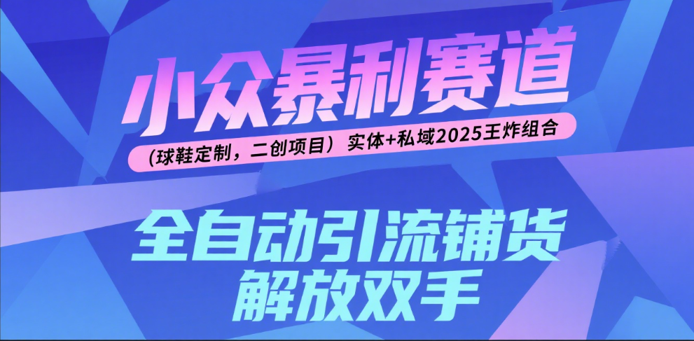 楠—小众暴利赛道（球鞋定制，二创项目）实体+私域2025王炸组合-靠谱项目库