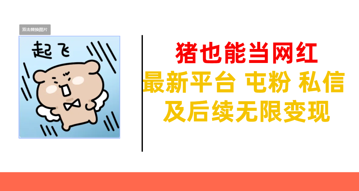 猪也能当网红-最新平台 屯粉 交流 私信 及后续无限变现-靠谱项目库