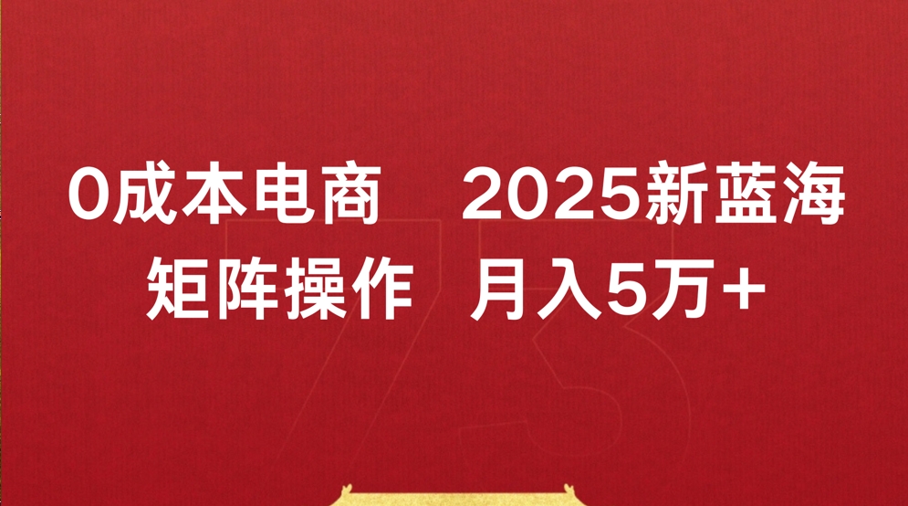 0成本电商2025新蓝海矩阵操作 月入5万+-靠谱项目库