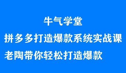 牛气学堂拼多多打造爆款系统实战课，老陶带你轻松打造爆款-靠谱项目库