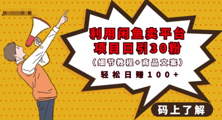 利用闲鱼卖平台项目课程资源日引流30+精准粉丝，轻松日赚100+，积累人脉可实现二次变现（细节教程+商品文案）-靠谱项目库
