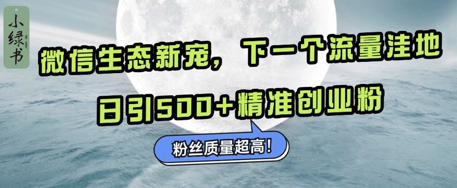微信生态新宠小绿书：下一个流量洼地，粉丝质量超高，日引500+精准创业粉，-靠谱项目库