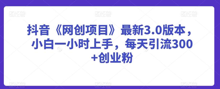 抖音《网创项目》最新3.0版本，小白一小时上手，每天引流300+创业粉【揭秘】-靠谱项目库