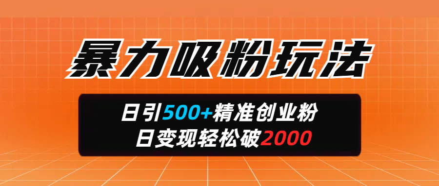 暴力吸粉玩法，日引500+精准创业粉，日变现轻松破2000-靠谱项目库