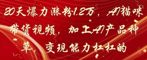 20天爆力涨粉1.2W，AI猫咪带货视频，加上AI产品种草，变现能力杠杠的-靠谱项目库