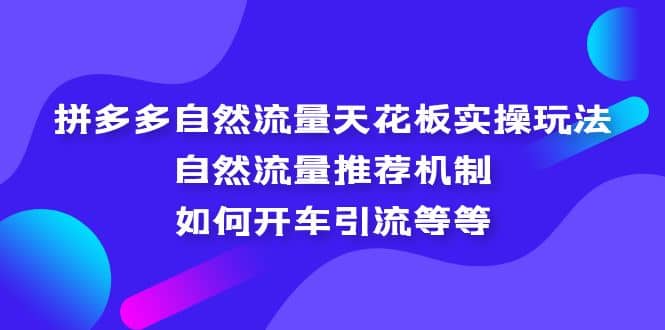 拼多多自然流量天花板实操玩法：自然流量推荐机制，如何开车引流等等-靠谱项目库