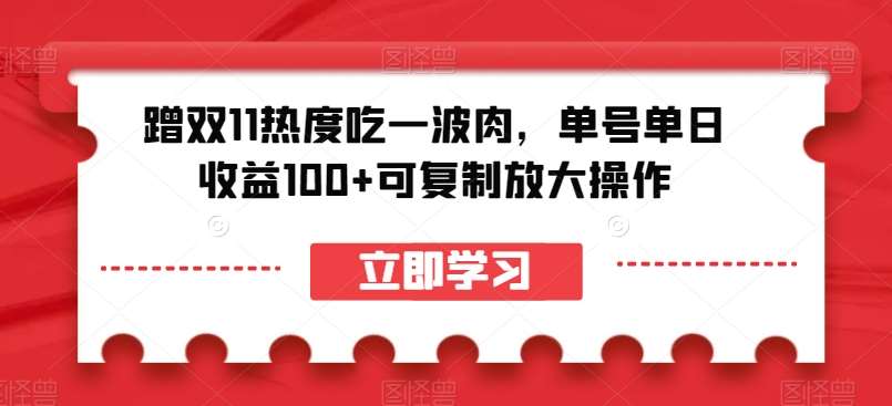 蹭双11热度吃一波肉，单号单日收益100+可复制放大操作【揭秘】-靠谱项目库