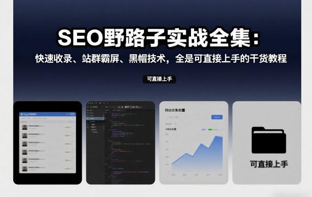 SEO野路子实战全集：快速收录、站群霸屏、黑帽技术，全是可直接上手的干货教程-靠谱项目库